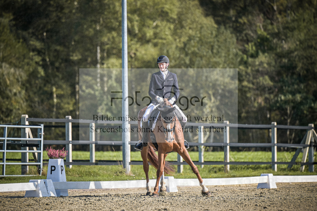DOS_3484 | Entdecke hochwertige Reitturnierfotos von Foto Oger. Professionell, emotional und authentisch – jetzt Lieblingsmomente im Shop bestellen.Deutschlandweite Turnierfotografie. - Realisiert mit Pictrs.com
