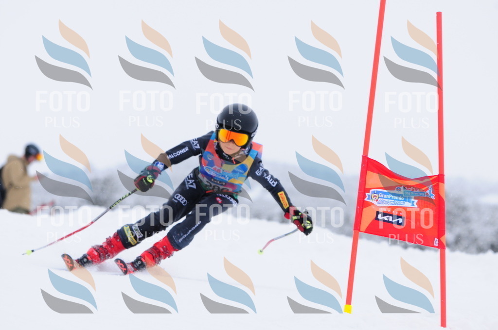 C3006 | holidayphoto