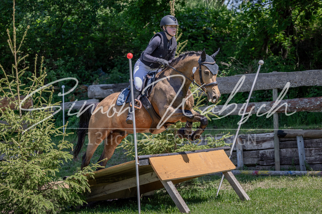 20260523-_3LI8243 | Tierfotografie Pferde, Hunde, Katzen, Haustiere.
Turnierfotografie Reitturniere, Reiten, Springreiten, Dressur in Hanau, dem Main-Kinzig-Kreis und dem Rhein-Main- Gebiet um Frankfurt