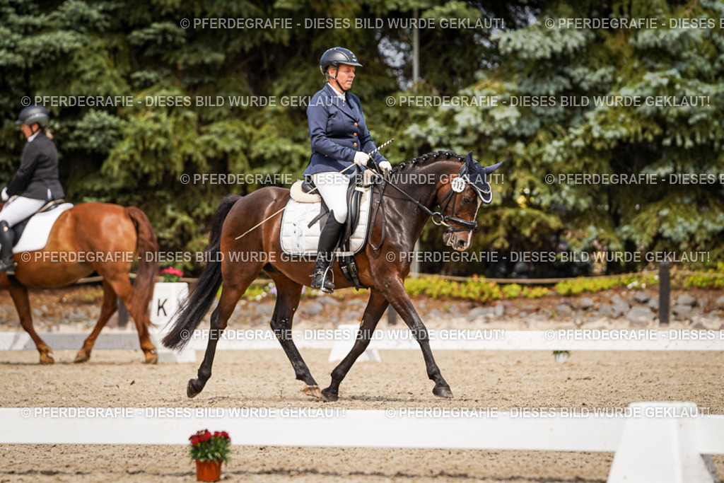 DSC04452 | Pferdegrafie