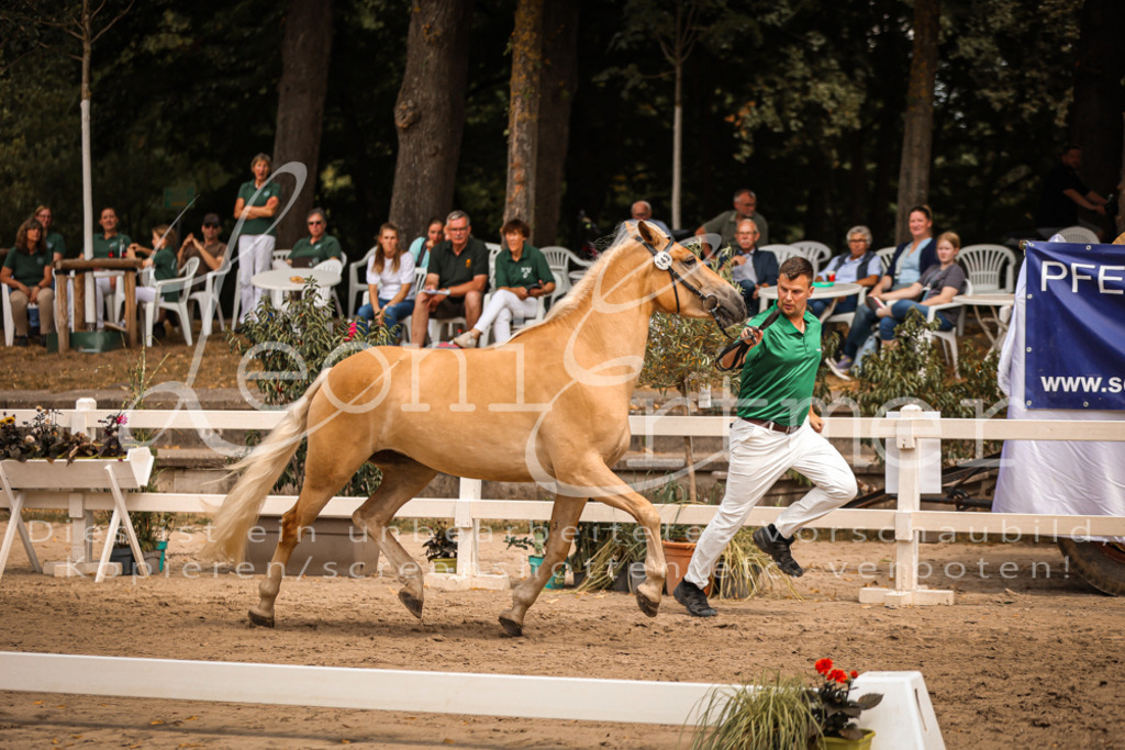 06.So00010 | Leoni Ertmer Photography - Realisiert mit Pictrs.com