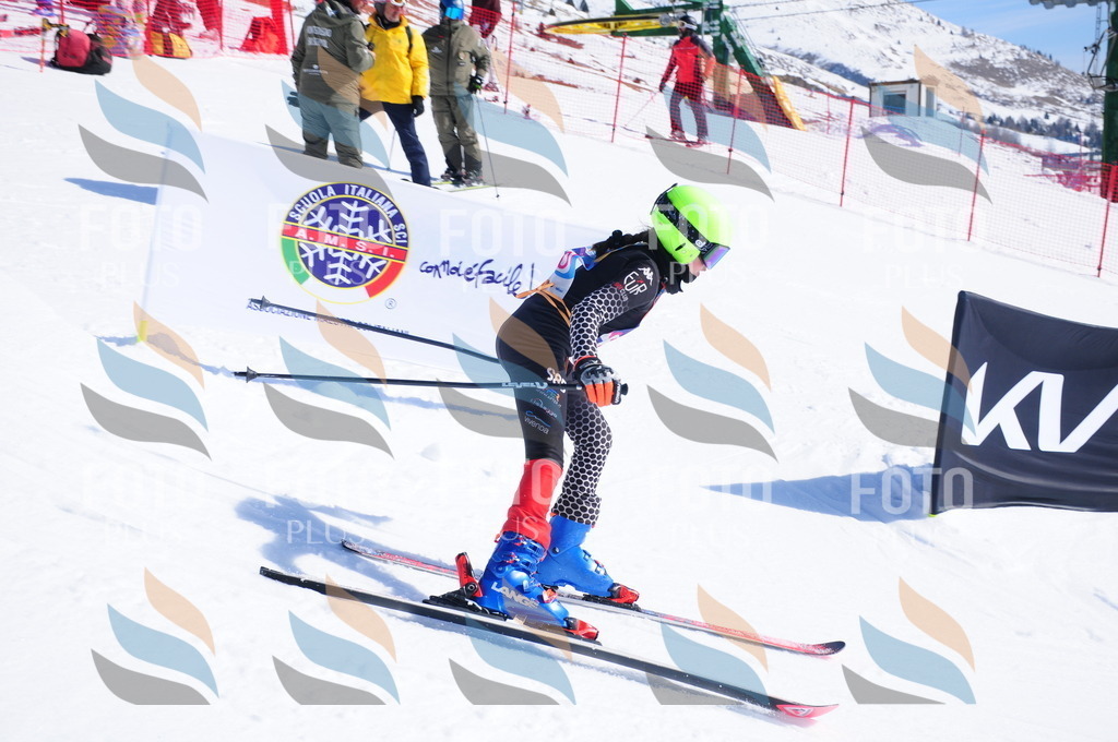 DSC_4862 | holidayphoto