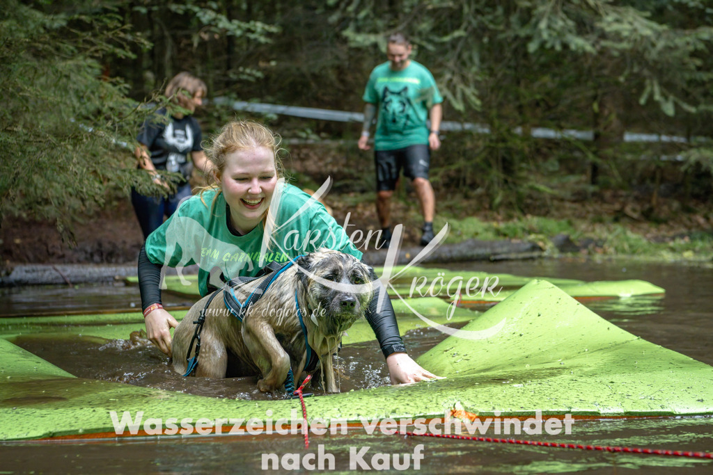 1510_ZZ94514-Bearbeitet | kk-dogfotos