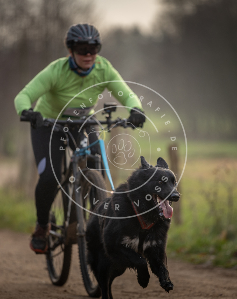 Pfotenfotografie_DV3A1951 | Hundefotografie, Tierfotograf, Pfotenfotografie, Fotoshooting Hund, Hunde Portrait, Hundesport, Hundeportraits, Heideshooting, Hunde, Sportfotograf, Hundefotograf, Turnierhundsport, THS,  - Realisiert mit Pictrs.com