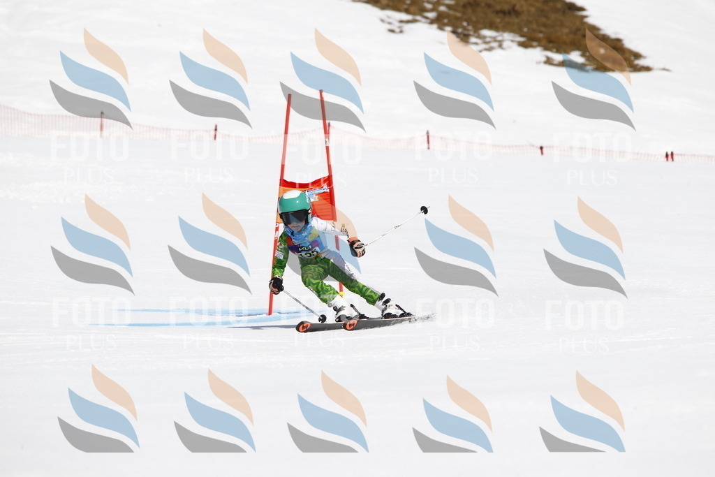 _U3G4186 | holidayphoto