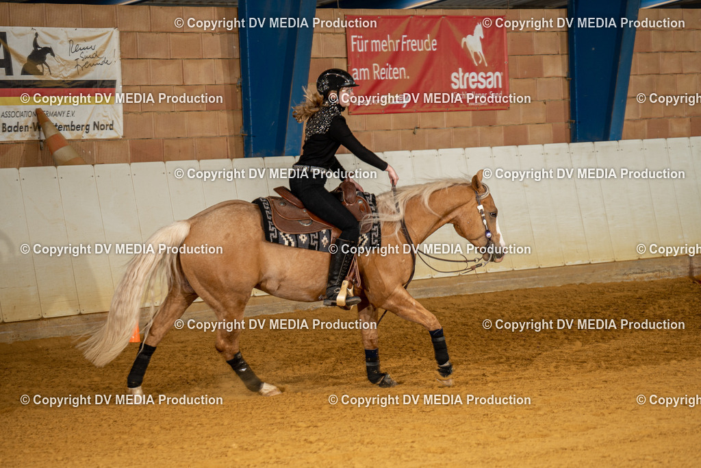 MIT00840 | dv-media-shop - Realisiert mit Pictrs.com