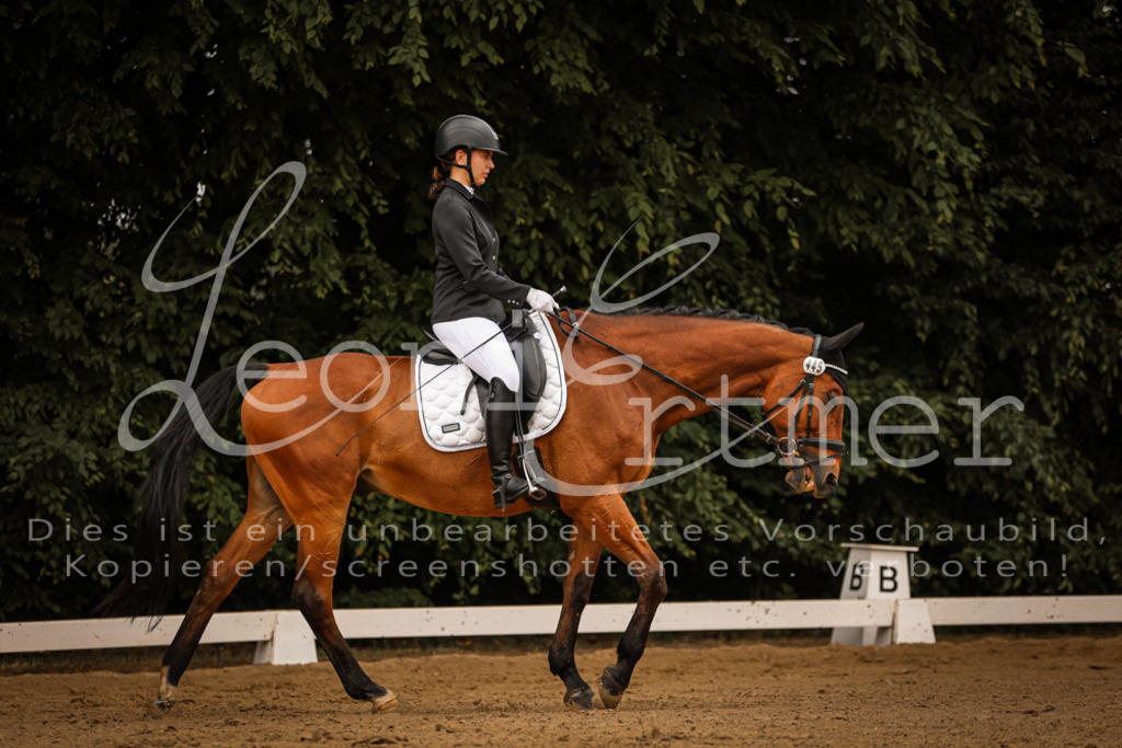 DoDrE00108 | Leoni Ertmer Photography - Realisiert mit Pictrs.com