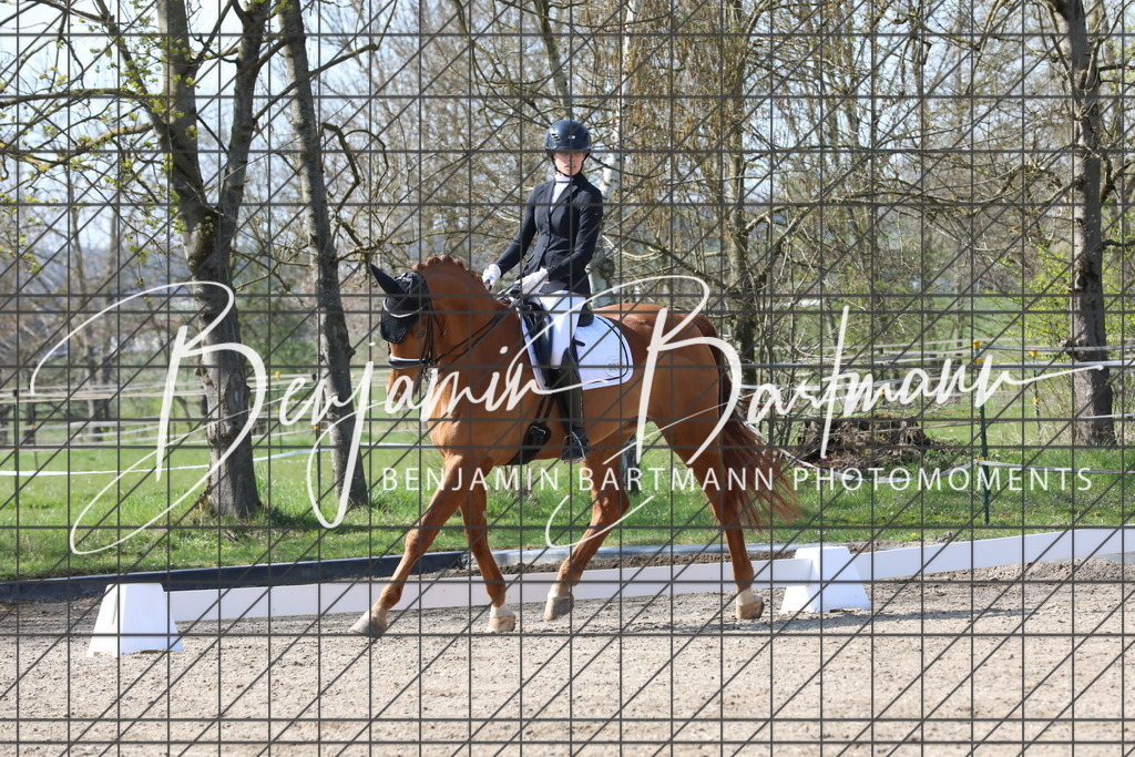 AZ2A5791 | Benjamin Bartmann Photomoments