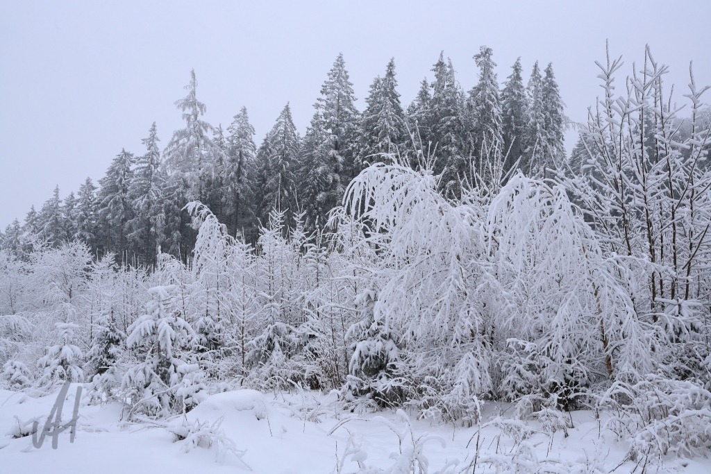 Winterstimmung im Kaiserwald | Winterstimmung im Kaiserwald - Realisiert mit Pictrs.com
