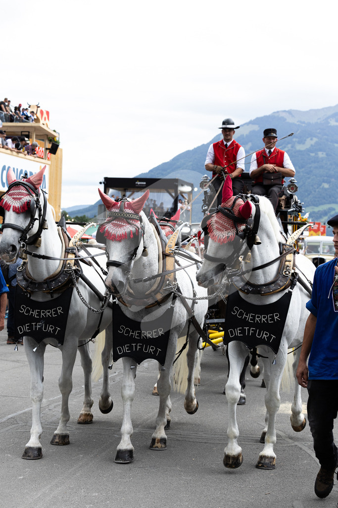 ESAF2025_Freitag_4126 | Die Schwinger des Schwyzer Kantonalen Schwingerverbandes: Fotos, die Dynamik und Leidenschaft festhalten, sowie emotionale Momente aus dem traditionellen Schwingsport zeigen. - Realisiert mit Pictrs.com