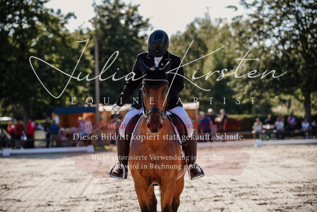 DSC_0383 | Pferde- und Turnierfotografie in Westsachsen. Pferdeportraits, Auftragszeichnungen und intuitive Kunst.