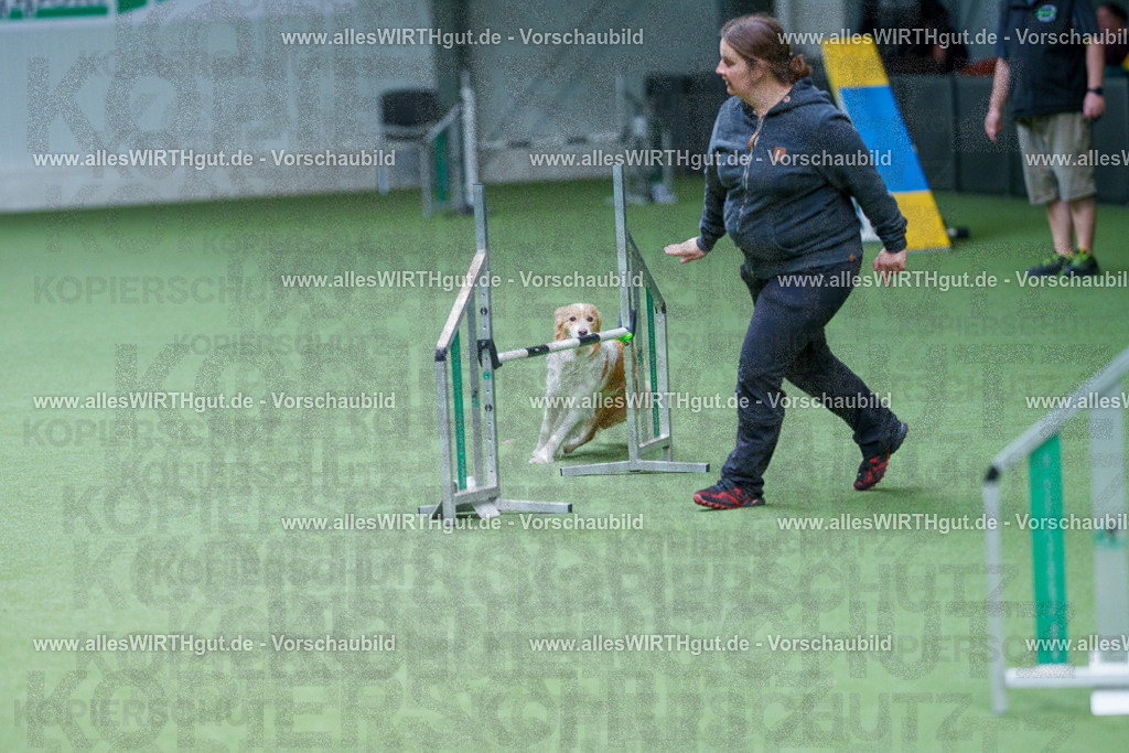 @allesWIRTHgut_Tierfotografie - www.allesWIRTHgut.de - 2604261004-7R508336 | Professionelle Tierfotografie in Mönchengladbach von Daniel Wirth (allesWIRTHgut). Liebevolle & natürliche Bilder von Hunden & Katzen für unvergessliche Erinnerungen.