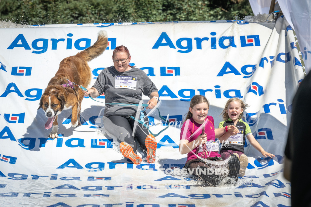 1317_ZZ99585 | kk-dogfotos