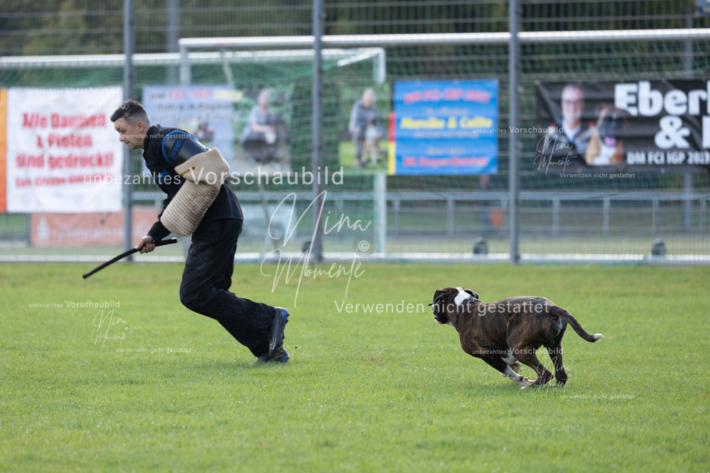 _16A6486 | Einzigartige Fotos von Hunden & Menschen –Actionfotos, Portraits, Vereinsaufnahmen & Paarshootings – authentisch, lebendig & mit Herz.