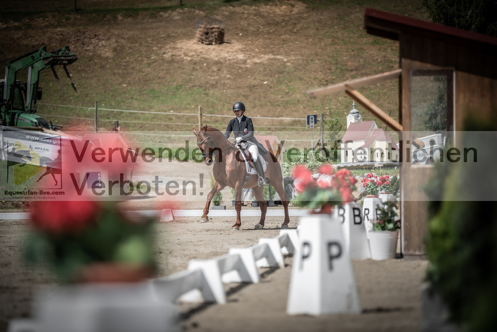 DSC_2605 | equestrian-live-com