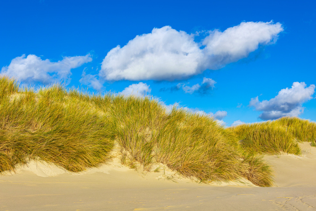 Landschaft mit Dünen auf der Nordseeinsel Amrum | Landschaft mit Dünen auf der Nordseeinsel Amrum.