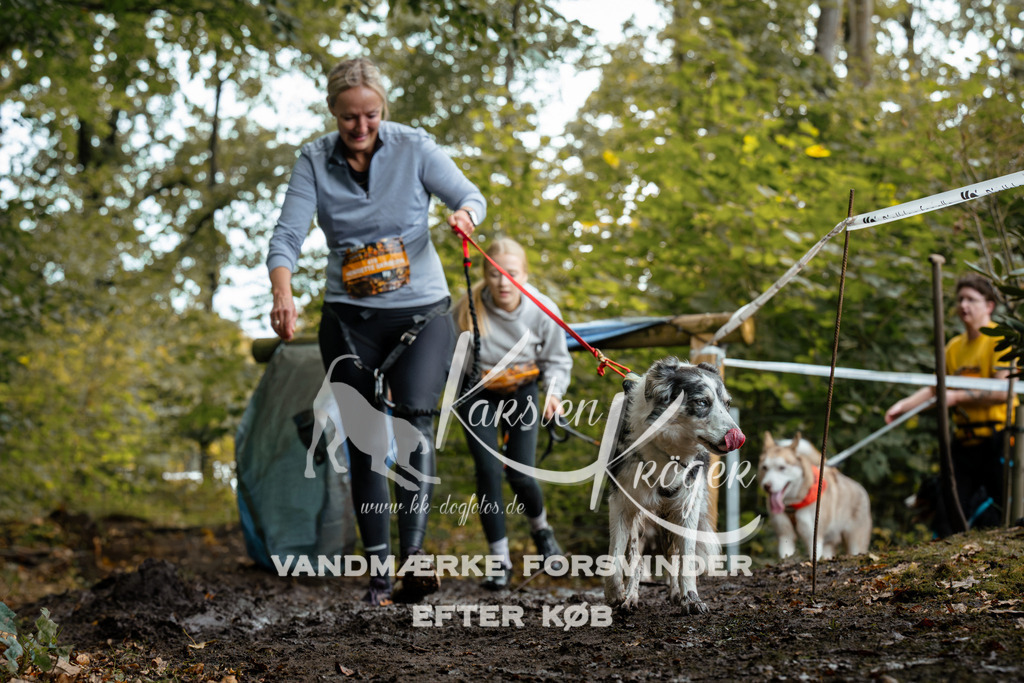 1427DZ6_2259Z6 | kk-dogfotos