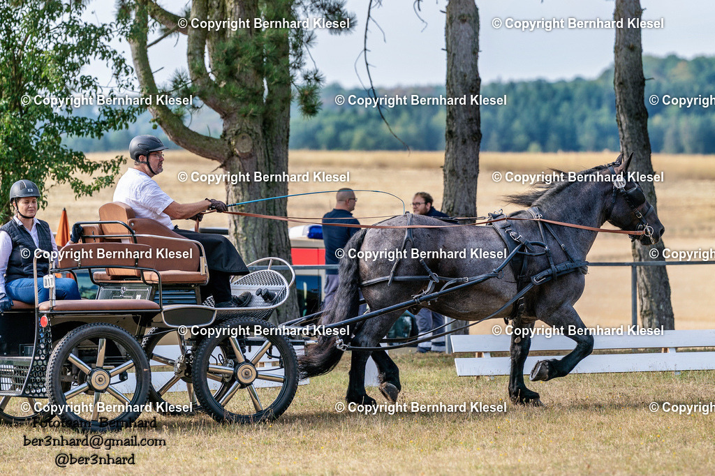 2A901785 | foto-team-bernhard - Realisiert mit Pictrs.com