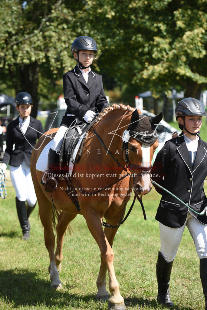 DSC_9679 | Pferde- und Turnierfotografie in Westsachsen. Pferdeportraits, Auftragszeichnungen und intuitive Kunst.