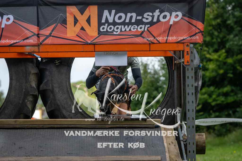 1130_ZZ92294 | kk-dogfotos