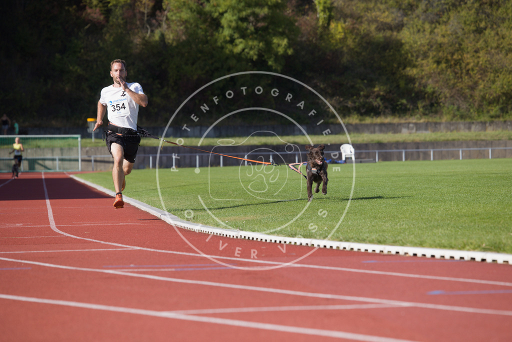 0L8A9857 | Hundefotografie, Tierfotograf, Pfotenfotografie, Fotoshooting Hund, Hunde Portrait, Hundesport, Hundeportraits, Heideshooting, Hunde, Sportfotograf, Hundefotograf, Turnierhundsport, THS,  - Realisiert mit Pictrs.com