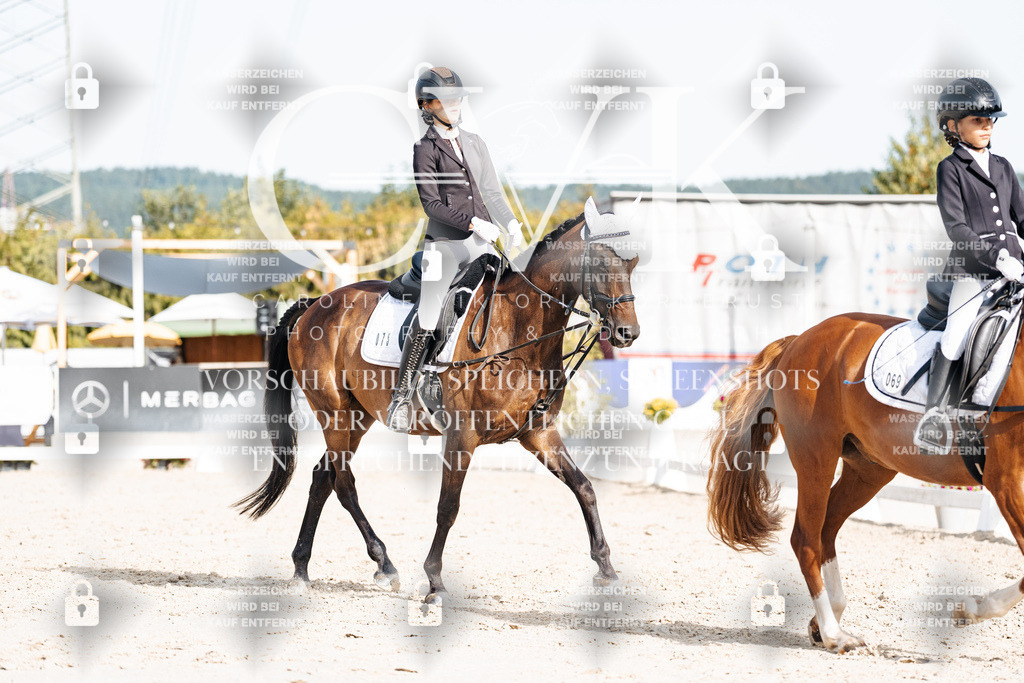 CK905249 | Turnierfotografie Pferdefotografie Trier Rheinland-Pfalz Pferdesport Reitsport Tierfotografie Sportfotografie Pferdevideo Pferdevideografie Equestrianvideography equestrianphotography  - Realisiert mit Pictrs.com