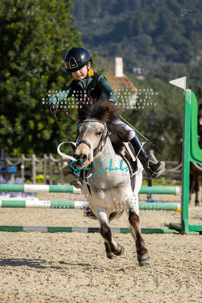 IMG_5957 | s-jay-photography - Realisiert mit Pictrs.com