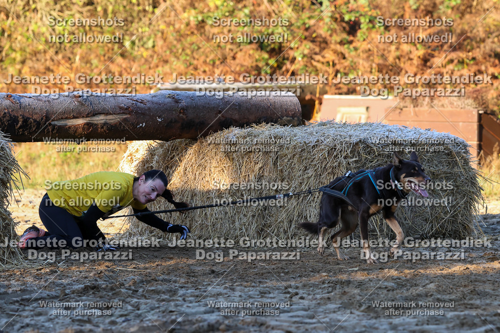 Dog Paparazzi - Strongdog 10-25-655 | Dog Paparazzi Jeanette Grottendiek Fotografie & Videografie - Realisiert mit Pictrs.com