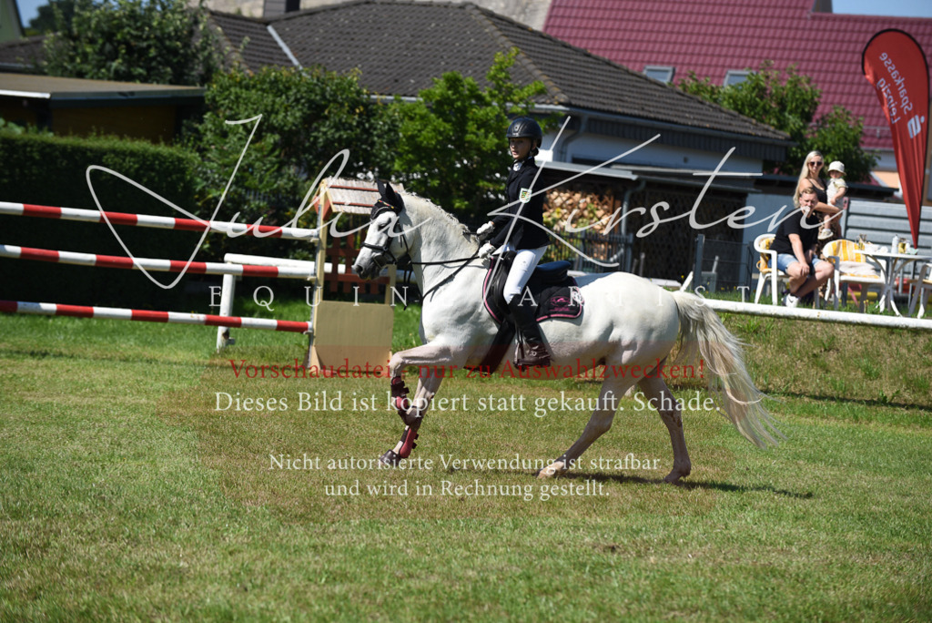 DSC_9475 | Pferde- und Turnierfotografie in Westsachsen. Pferdeportraits, Auftragszeichnungen und intuitive Kunst.