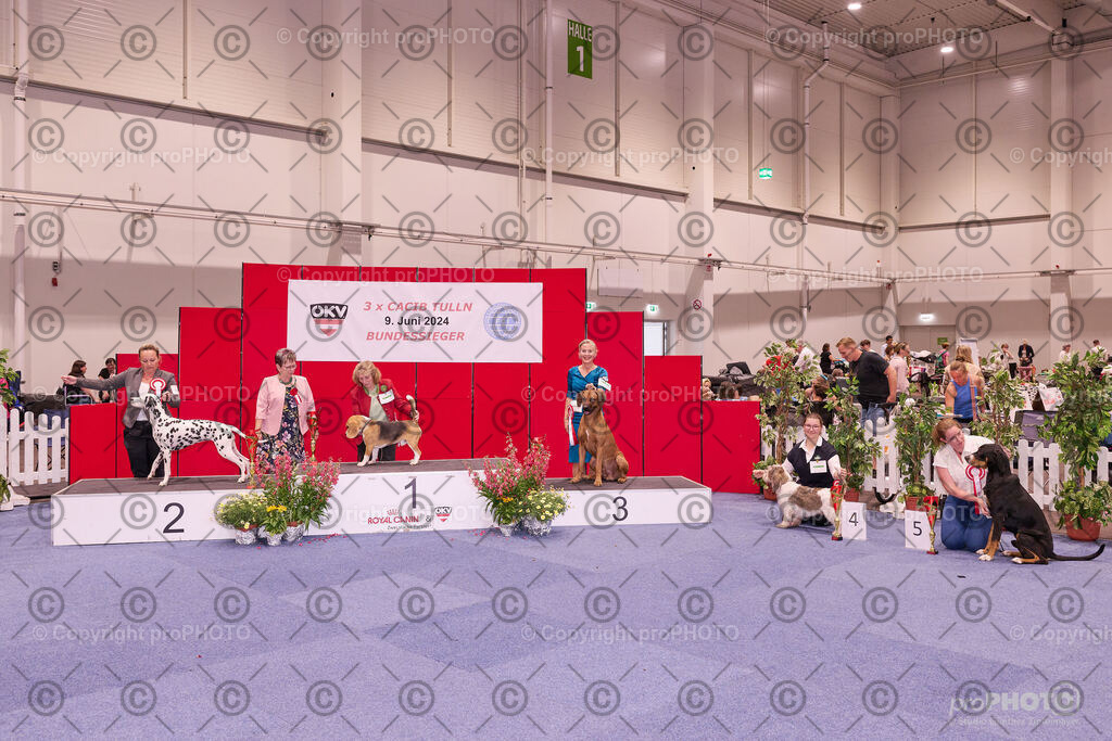 202406_ÖKV-IHA-Tulln24_NZ9_9538 | proPHOTO - Realisiert mit Pictrs.com