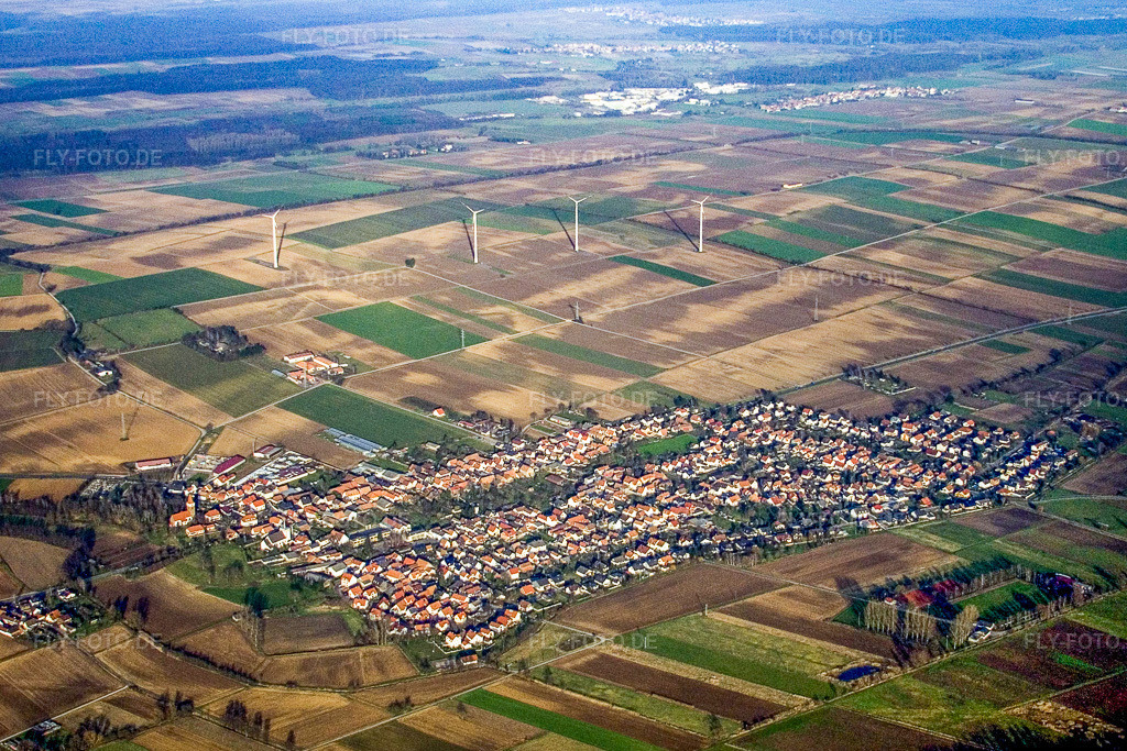 Luftbild: Dorfansicht von Süden in Minfeld im Bundesland Rheinland-Pfalz in Deutschland. Foto: IMG_5144.jpg vom 29.12.2006 durch Werner Riehm/FLY-FOTO.de