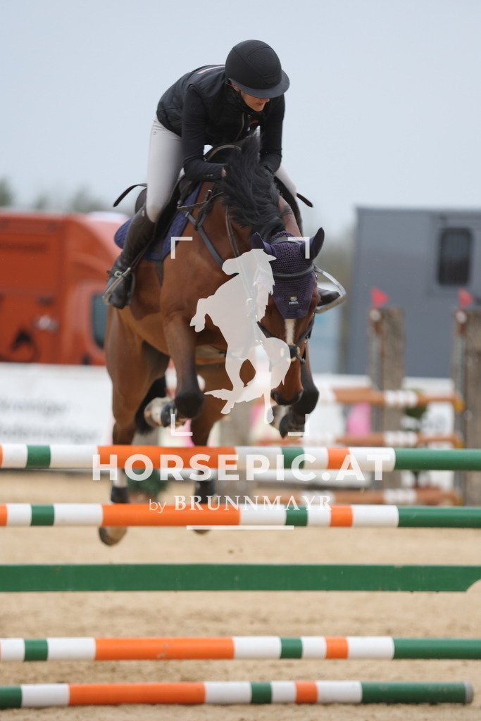 0P6A6915 | Willkommen bei Brunnmayr - Design & Fotografie – Ihrem Spezialisten für Reitturniere und Pferdeveranstaltungen in Oberösterreich, Salzburg und Bayern! Seit über 17 Jahren sind wir leidenschaftlich dabei.