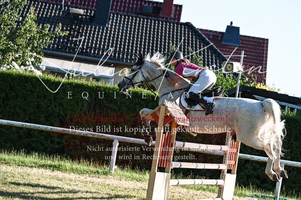 DSC_3029 | Pferde- und Turnierfotografie in Westsachsen. Pferdeportraits, Auftragszeichnungen und intuitive Kunst.