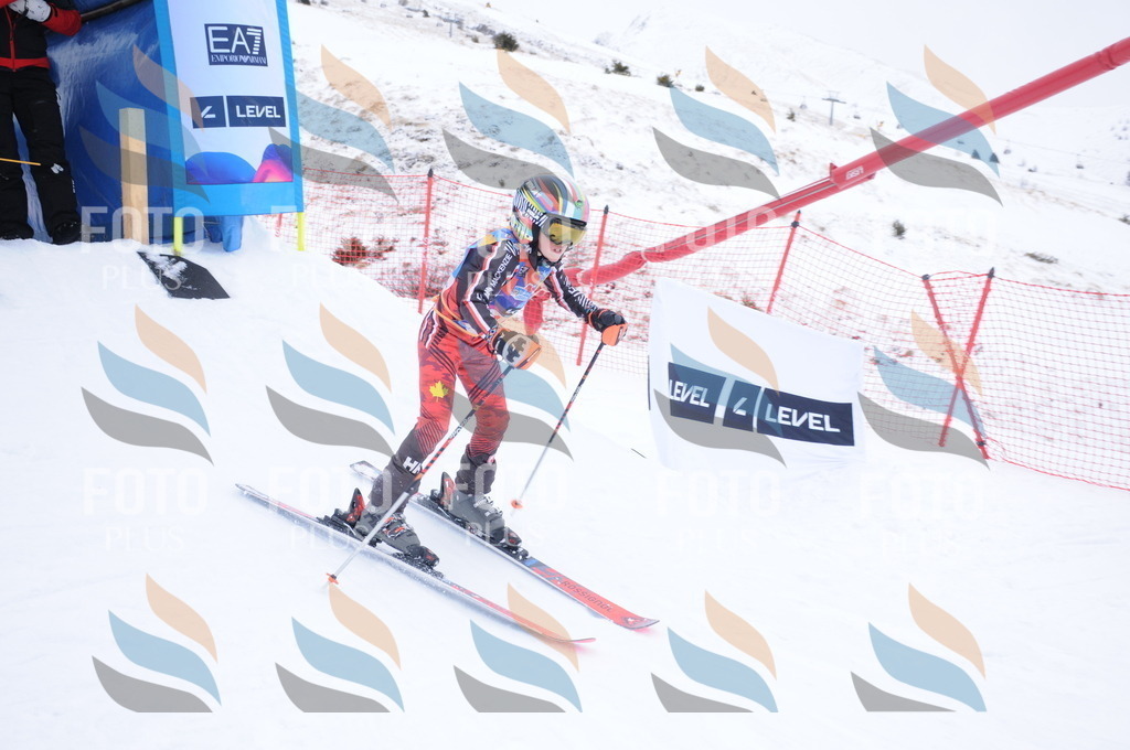 DSC_8595 | holidayphoto