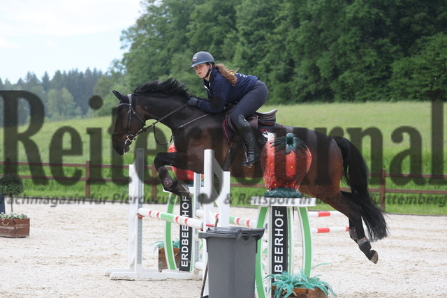 2024_Erdbeerhof_8er-Team_Lehrgang_Gruppe_03 (35) | Alle Fotos der Reiterjournal Fotografin Doris Matthaes im Reiterjournal Online-Fotoshop. - Realisiert mit Pictrs.com