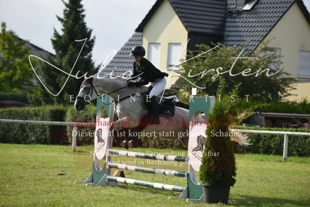 DSC_8730 | Pferde- und Turnierfotografie in Westsachsen. Pferdeportraits, Auftragszeichnungen und intuitive Kunst.