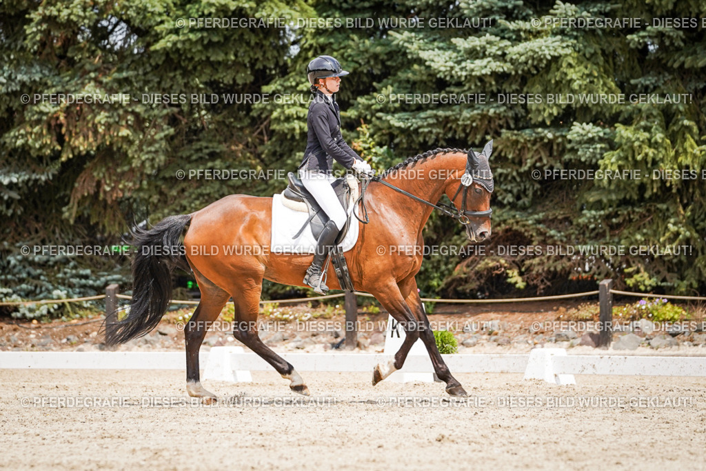 DSC03510 | Pferdegrafie