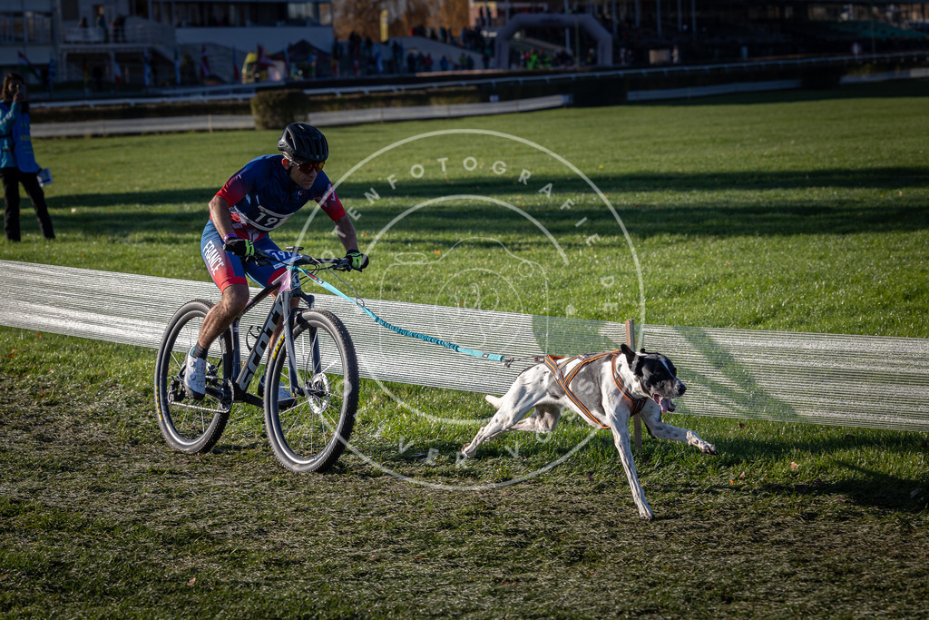 CaniXpix_0L8A4235 | Hundefotografie, Tierfotograf, Pfotenfotografie, Fotoshooting Hund, Hunde Portrait, Hundesport, Hundeportraits, Heideshooting, Hunde, Sportfotograf, Hundefotograf, Turnierhundsport, THS,  - Realisiert mit Pictrs.com
