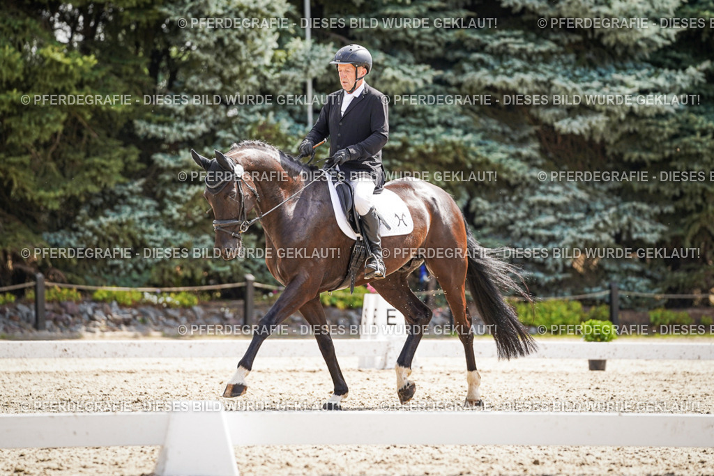 DSC08789 | Pferdegrafie