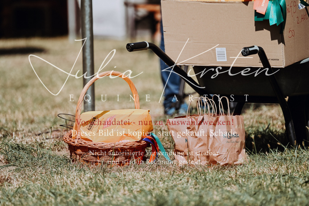 DSC_0073 | Pferde- und Turnierfotografie in Westsachsen. Pferdeportraits, Auftragszeichnungen und intuitive Kunst.