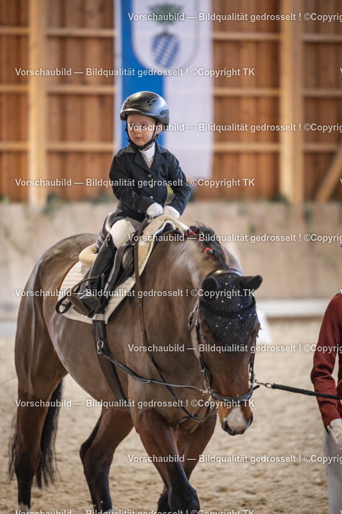 _D5A5346 | Emotionale Pferde- & People-Fotografie rund um Heidelberg, Leimen & Umgebung. Natürliche Fotos von Pferd, Mensch & Familie. Jetzt Termin sichern!