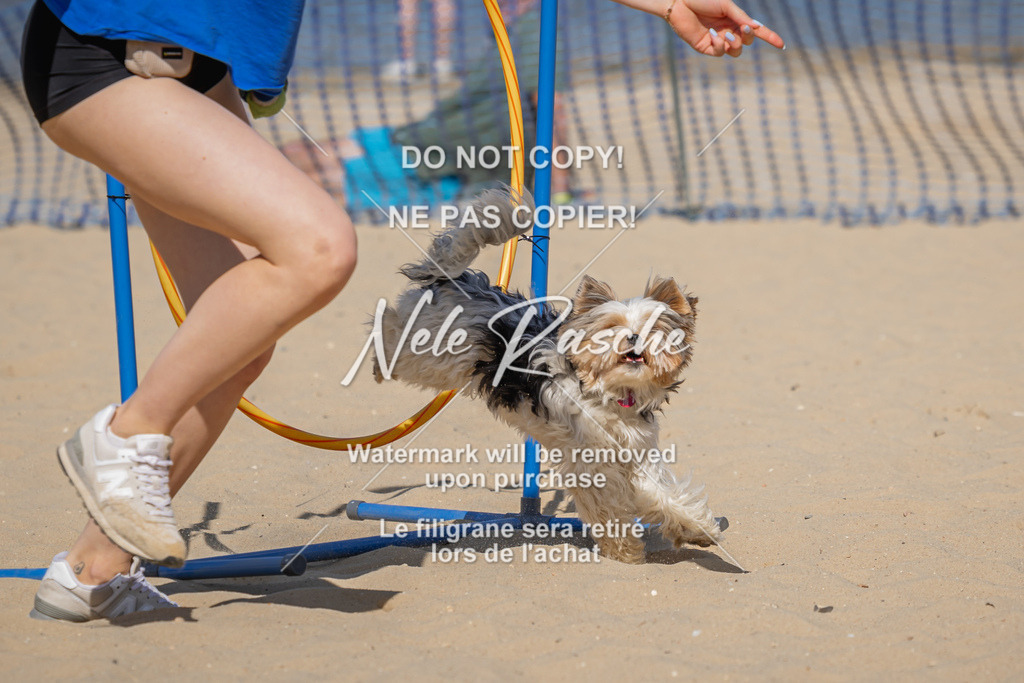 nelerasche_saBeachility_324 | nelerasche