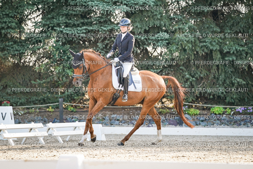 DSC08055 | Pferdegrafie