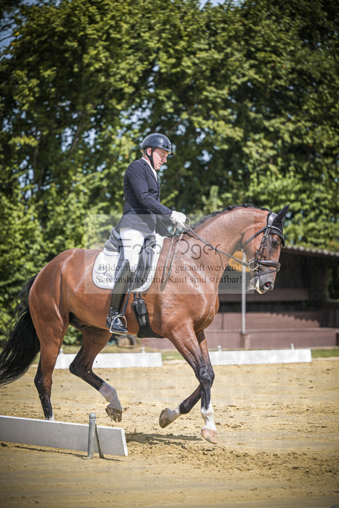 DOS_0637 | Entdecke hochwertige Reitturnierfotos von Foto Oger. Professionell, emotional und authentisch – jetzt Lieblingsmomente im Shop bestellen.Deutschlandweite Turnierfotografie. - Realisiert mit Pictrs.com