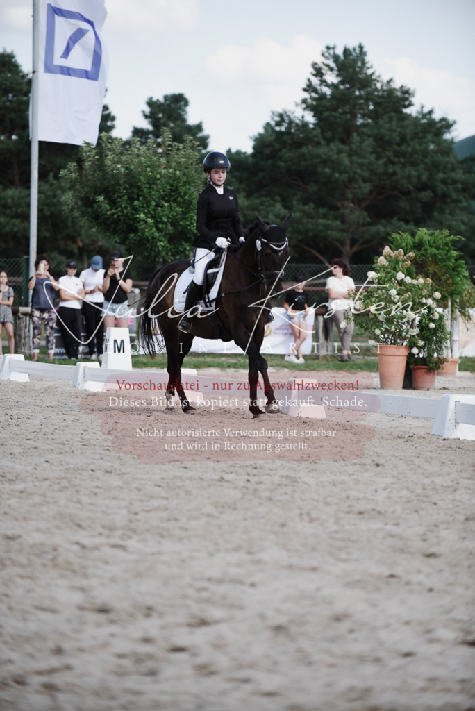 DSC_9973 | Pferde- und Turnierfotografie in Westsachsen. Pferdeportraits, Auftragszeichnungen und intuitive Kunst.