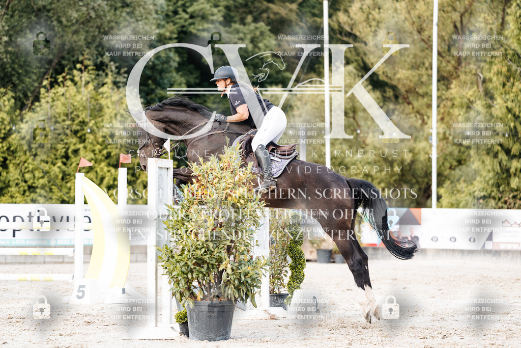 CK903849 | Turnierfotografie Pferdefotografie Trier Rheinland-Pfalz Pferdesport Reitsport Tierfotografie Sportfotografie Pferdevideo Pferdevideografie Equestrianvideography equestrianphotography  - Realisiert mit Pictrs.com