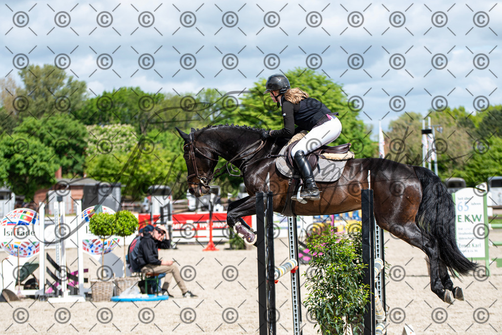 KPT_5247 | andre_photographic