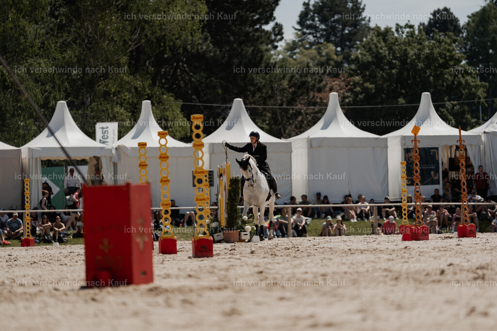 WE_SP_Stoib_307_PI2025_1756 | Pferd International München 2025