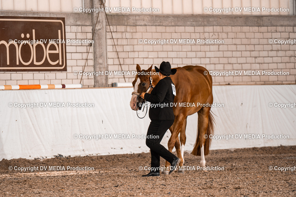 ZH200027 | dv-media-shop - Realisiert mit Pictrs.com