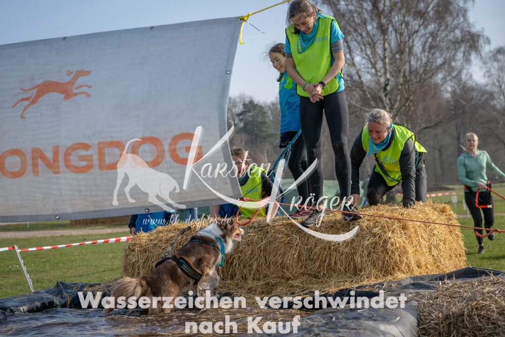 _ZZ91057 | kk-dogfotos
